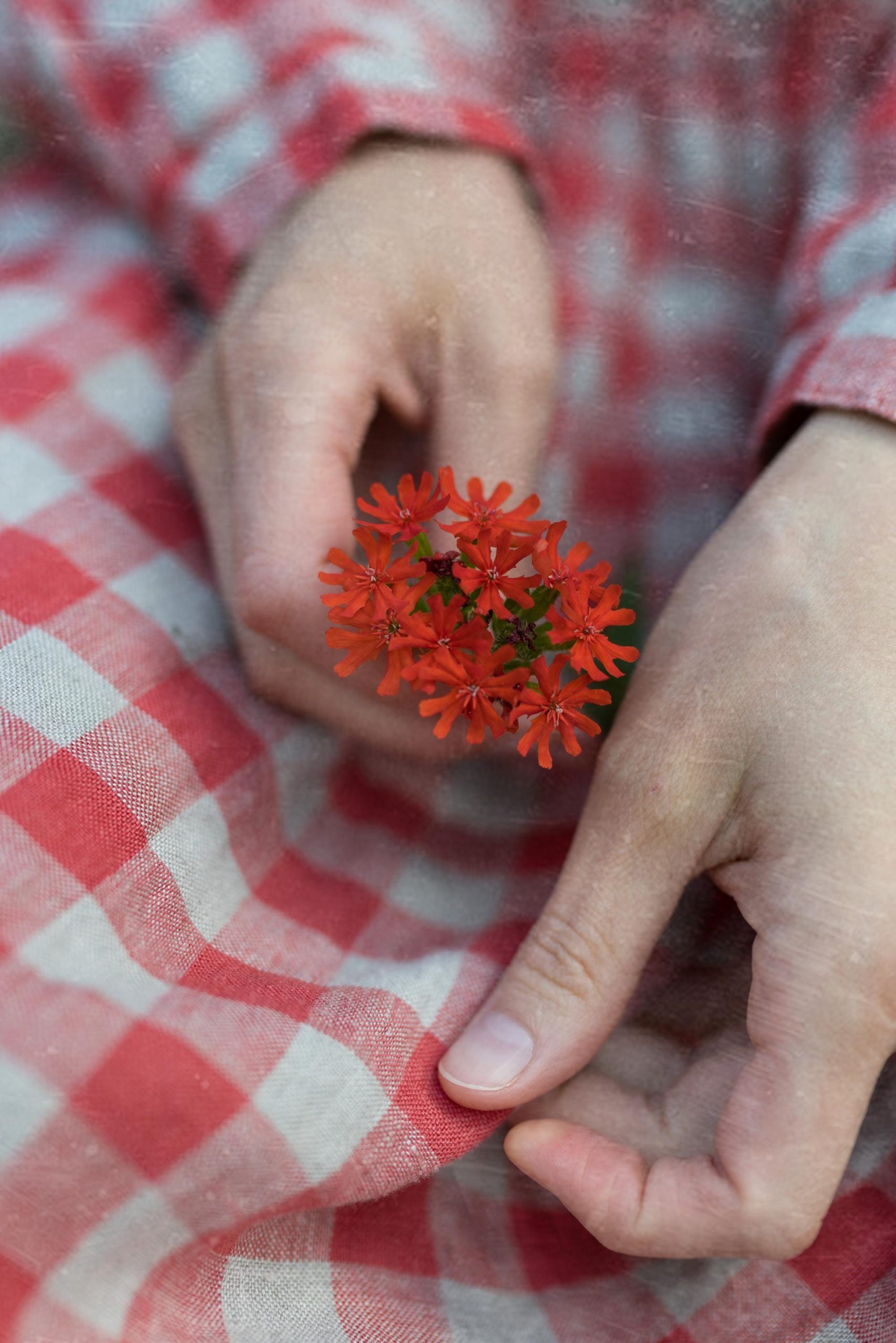 Red gingham linen smock dress with long sleeves and a gathered skirt. in size m - Image 15